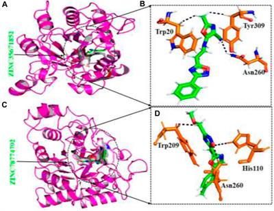 Exploring potent aldose reductase inhibitors for anti-diabetic (anti-hyperglycemic) therapy: integrating structure-based drug design, and MMGBSA approaches